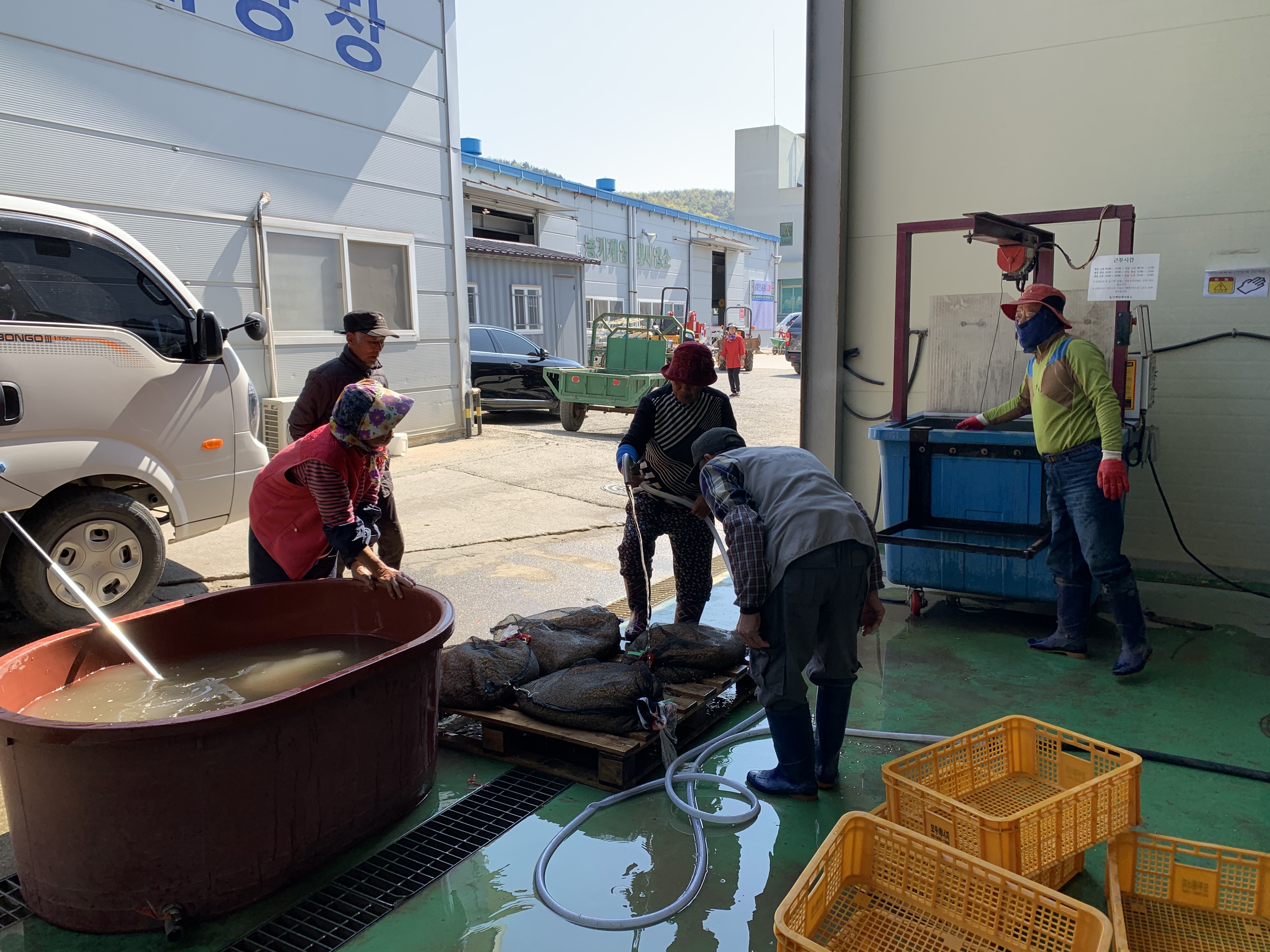 진도군, 고품질 쌀 생산을 위한 볍씨 소독 철저 당부 이미지