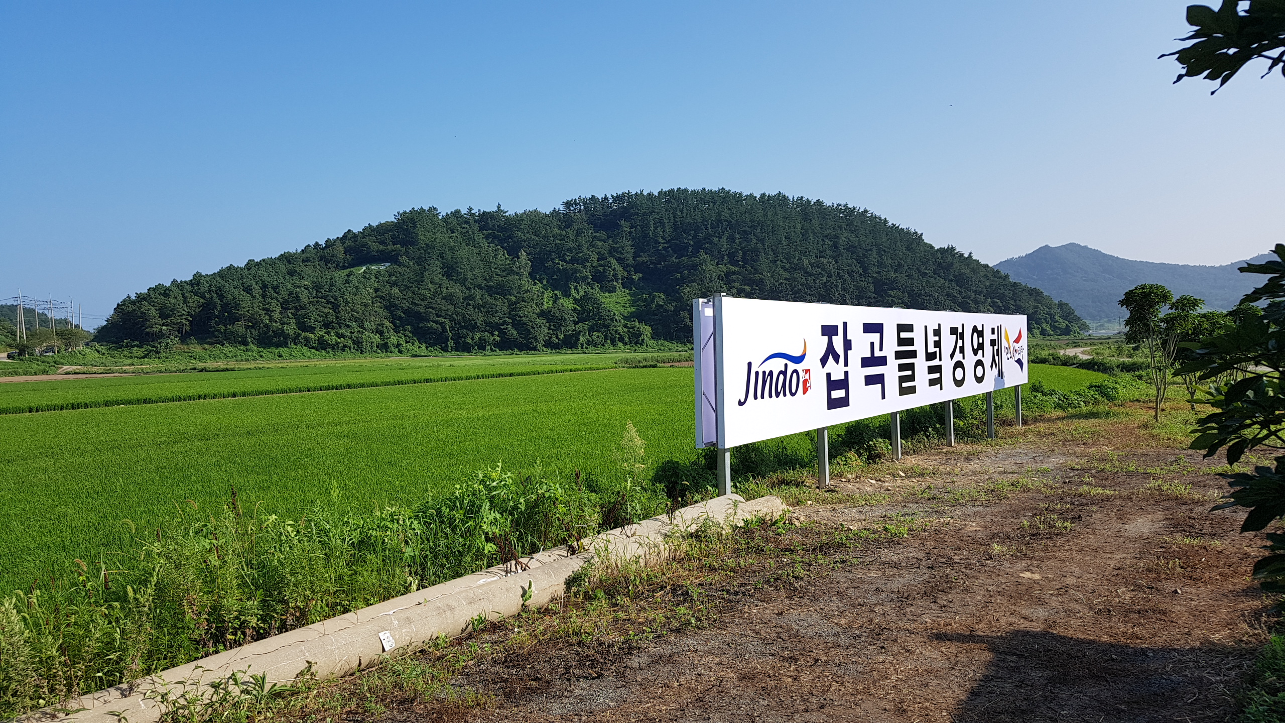 진도군, 들녘공동경영체 집중 육성 이미지