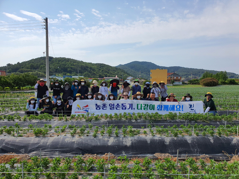 진도군, 영농철 맞아 농촌일손돕기 ‘구슬땀’ 이미지