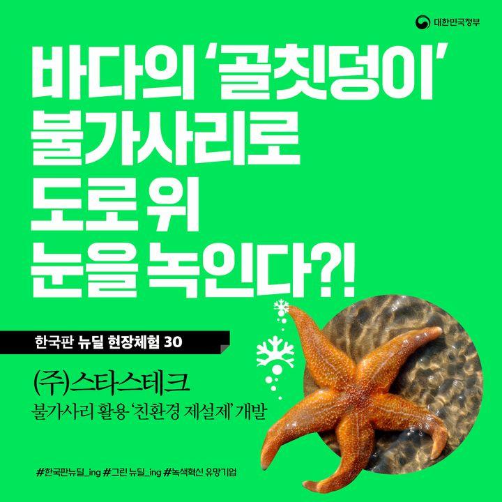 (대한민국정부) 친환경 불가사리 제설제 ! 그린뉴딜사업을 알아보자 이미지