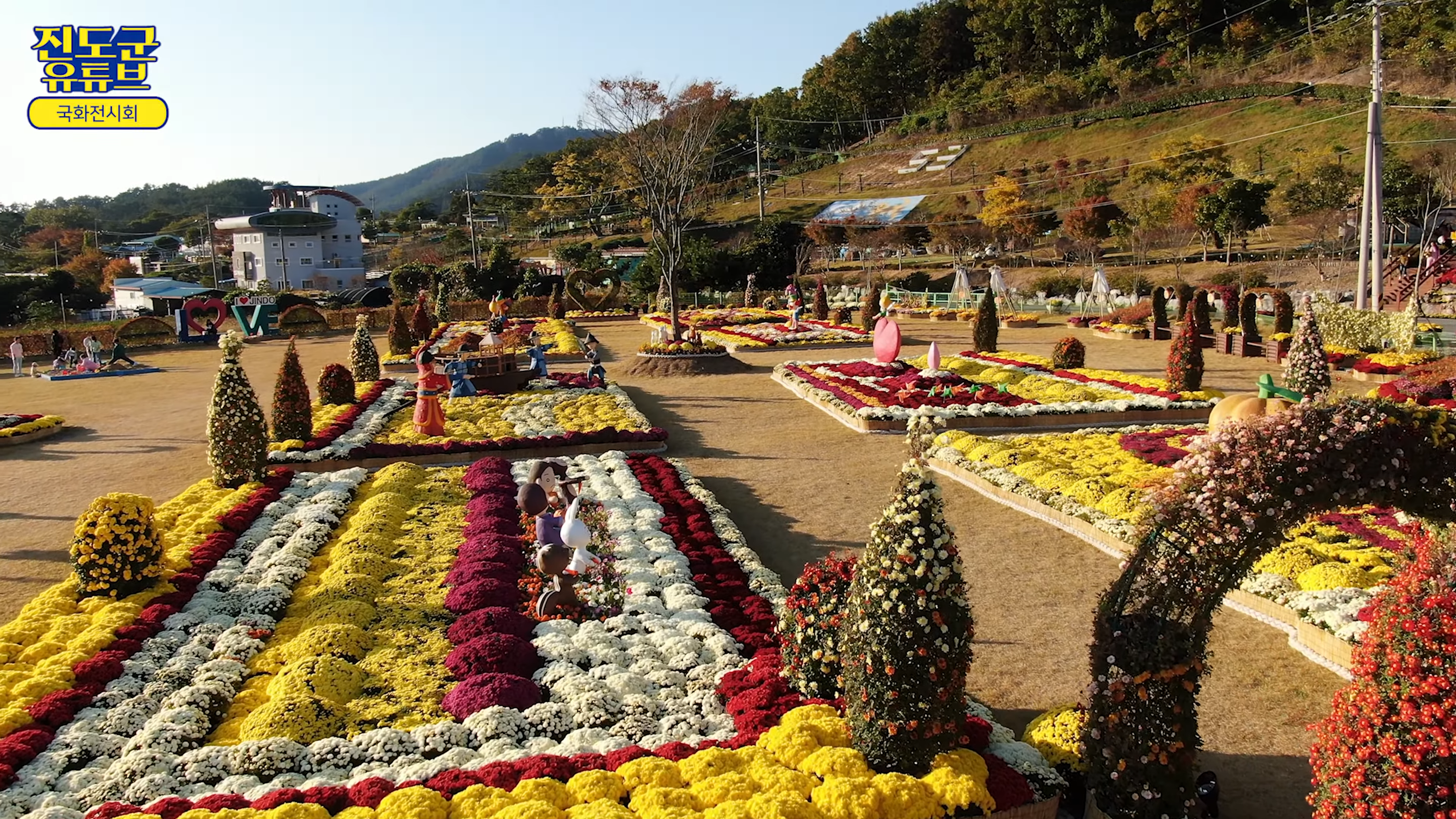 보배섬에 국화를 담다 이미지