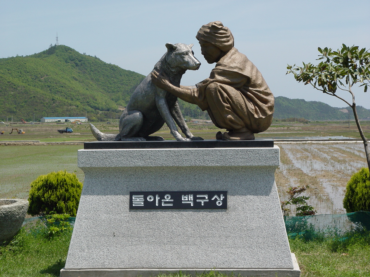 진도군, 진도개 복지 지원사업 추진 이미지