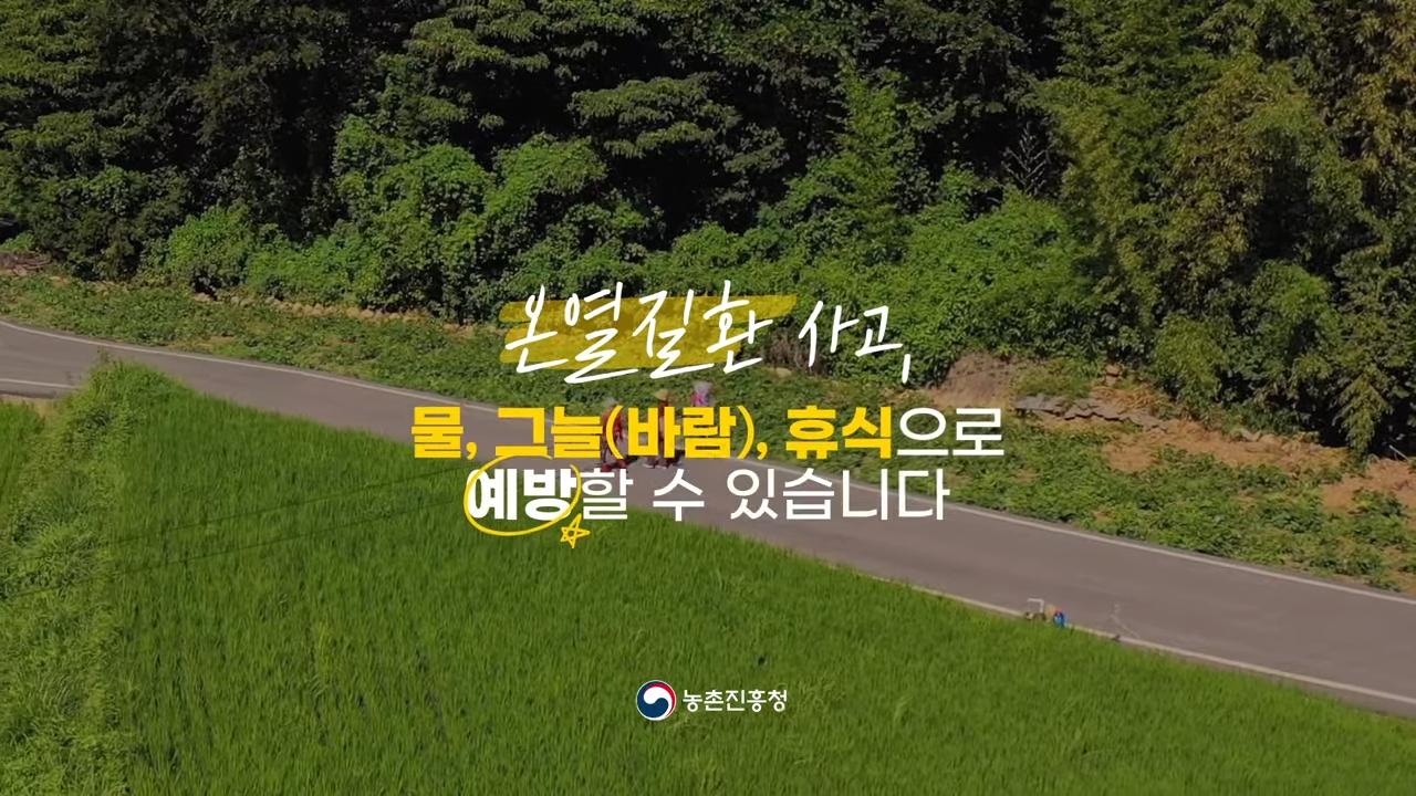 온열질환 사고, 물, 그늘(바람), 휴식으로 예방할 수 있습니다 이미지