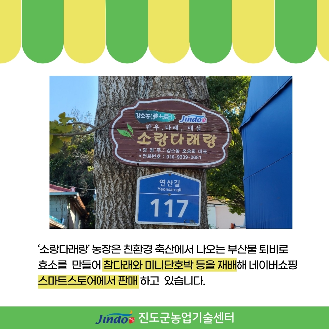 '소랑다래랑' 농장은 친환경 축산에서 나오는 부산물 퇴비로 효소를 만들어 참다래와 미니단호박 등을 재배해 네이버쇼핑 스마트스토어에서 판매 하고 있습니다. Jindo 진도군농업기술센터